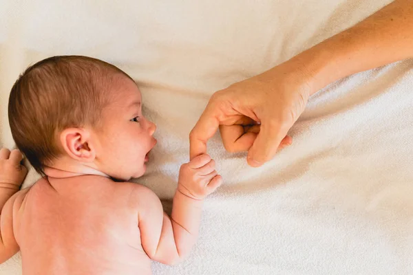 Small Hands Fingers Newborn Baby — Stock Photo, Image