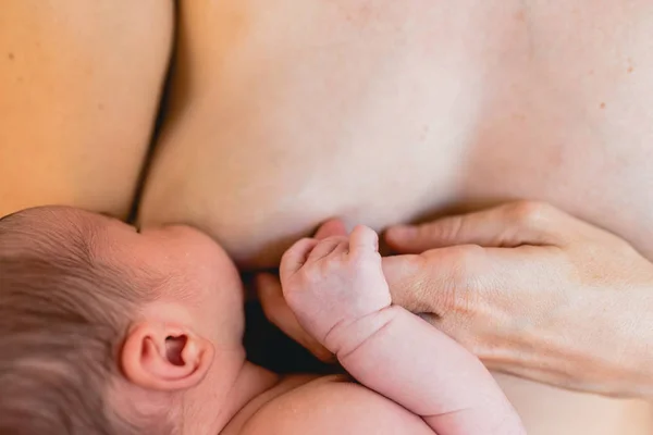 新生儿吸吮母乳喂养从他母亲的乳房 — 图库照片