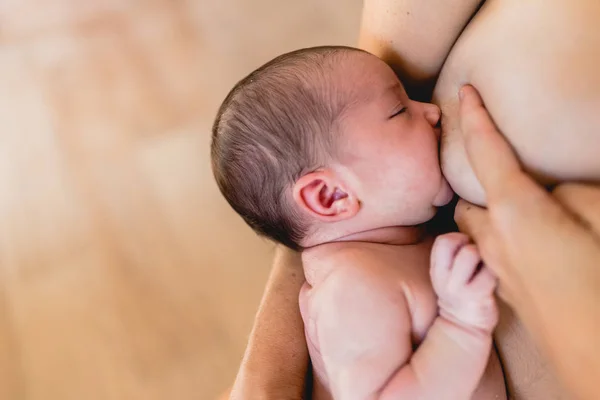 新生儿吸吮母乳喂养从他母亲的乳房 — 图库照片