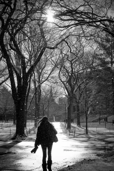 Fille Marche Sur Campus Universitaire Lors Une Chute Neige — Photo