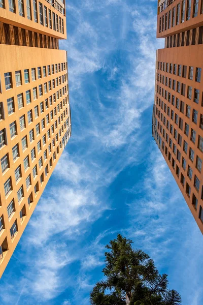 Vertical buildings of houses with blue sky and tree in the middle.
