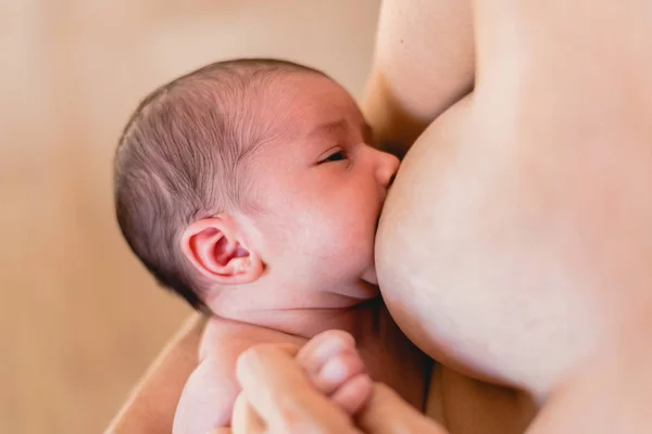 Newborn Baby Sucking Breastfeeding His Mother Breast — Stock Photo, Image