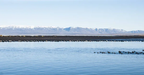 Relaxing landscape to calm down and relieve stress, blue lake with serene and calm waters in the middle of wild nature.