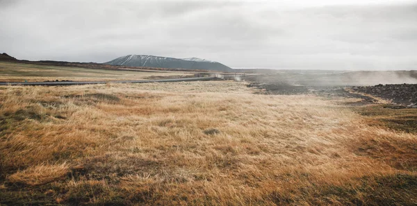 Paisagem Pastagens Verdes Frondosas Nos Vales Montanhosos Islândia — Fotografia de Stock