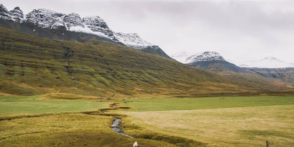 Alta Paisagem Montanhosa Islandesa Escocesa Com Altos Picos Cores Dramáticas — Fotografia de Stock