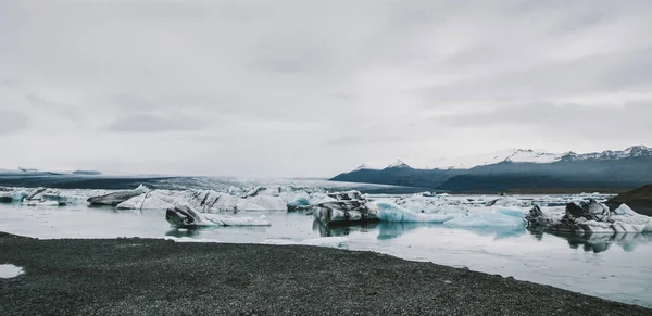 Hatalmas Jég Blokkok Jéghegyek Egy Izlandi Beach Partján Családi — Stock Fotó
