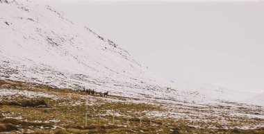 Karlı yüksek dağ manzaraları.