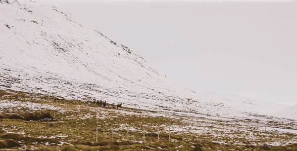 雪に覆われた高山の風景 — ストック写真