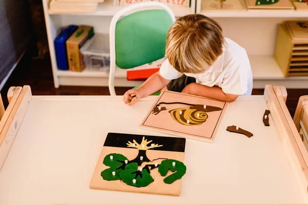 Manos Niño Aprendiendo Biología Con Material Montessori — Foto de Stock