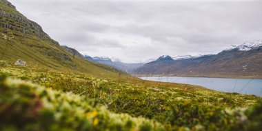 İzlanda'nın dağlık vadiler ve yapraklı yeşil otlaklarda peyzaj.