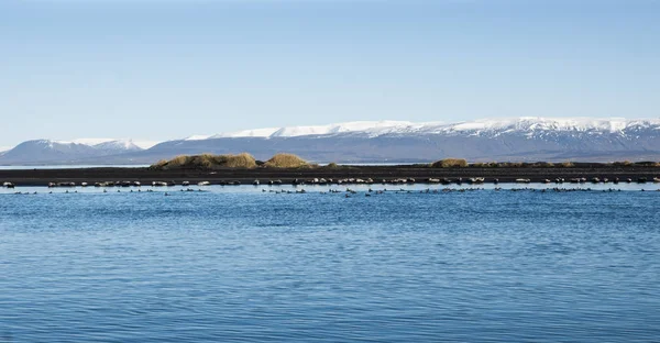 Relaxing landscape to calm down and relieve stress, blue lake with serene and calm waters in the middle of wild nature.