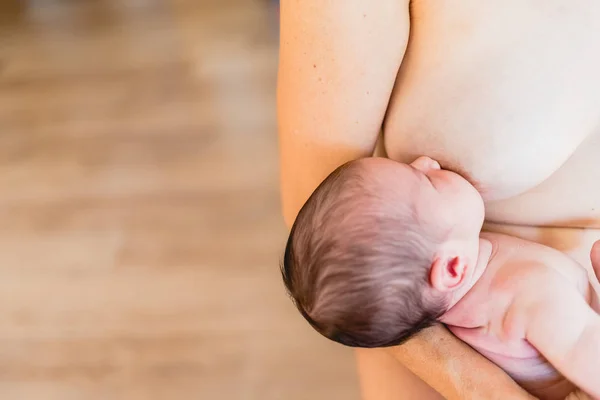 Newborn Baby Sucking Breastfeeding His Mother Breast — Stock Photo, Image