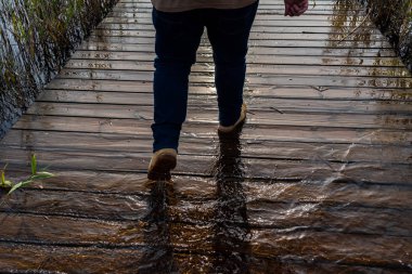 Valencia, İspanya - 8 Aralık 2018: Lake Albufera sular altında yaya köprüsü üzerinde yürüyen turist kişi.
