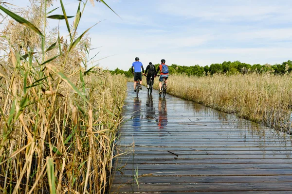 Ciclista Atravessando Uma Passarela Sobre Lago Valência Espanha Dentro Parque — Fotografia de Stock