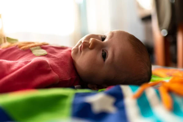 Newborn Baby Resting Relaxed Face Carpet — Stock Photo, Image