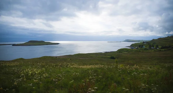 スコットランドの海岸の崖で — ストック写真