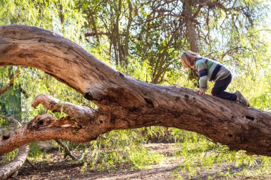 Sarışın çocuk korkuları aşmak ve onun güven geliştirmek için bir ağaca tırmanmaya çalışıyor.