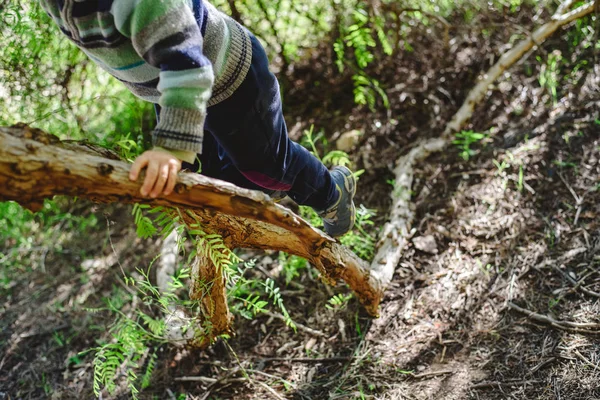 Ξανθό Αγόρι Προσπαθεί Σκαρφαλώσει Ένα Δέντρο Για Ξεπεράσουν Τους Φόβους — Φωτογραφία Αρχείου