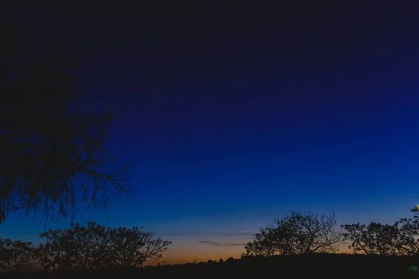 Himmel Bakgrund Skymningen Med Silhuetter Träd Och Horisont — Stockfoto