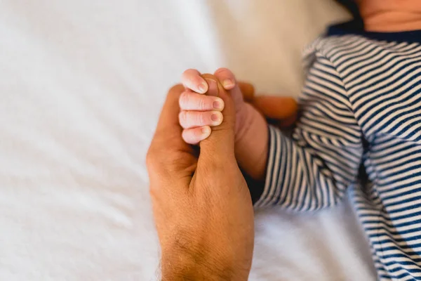 Small Hands Fingers Newborn Baby — Stock Photo, Image