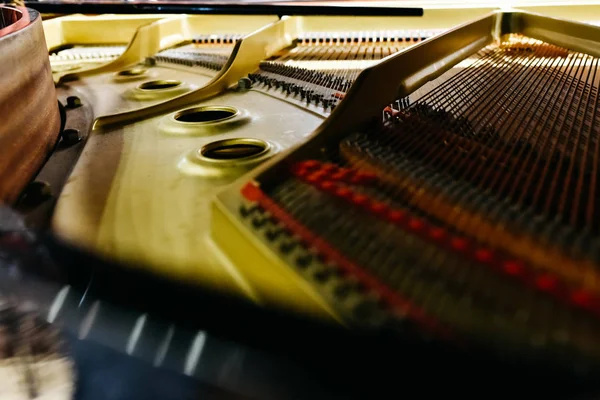 Detalj Interiör Ett Piano Med Resonansbotten Strängar Och Pins — Stockfoto