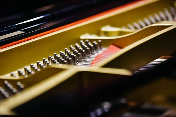 Detail of the interior of a piano with the soundboard, strings and pins.