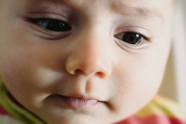 Komik bebek görünümünü Close-up.