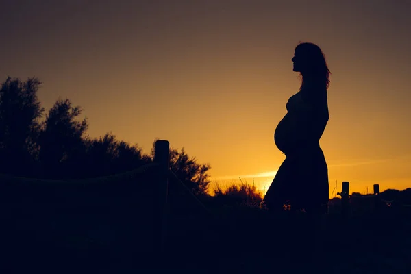 Düz Renkli Arka Plan Ile Gün Batımında Hamile Kadın Silüeti — Stok fotoğraf