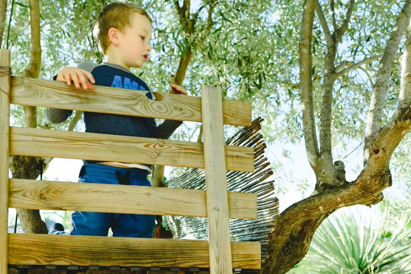 Glückliches Kind Das Frühling Auf Einem Holzhäuschen Auf Dem Baum — Stockfoto