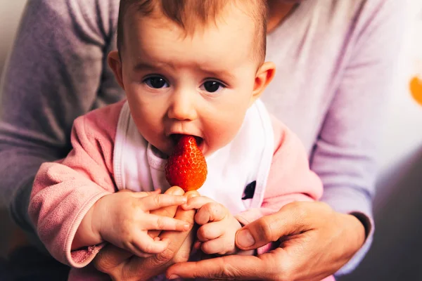 Bebé Meses Empezando Probar Sus Primeros Alimentos Utilizando Técnica Del — Foto de Stock