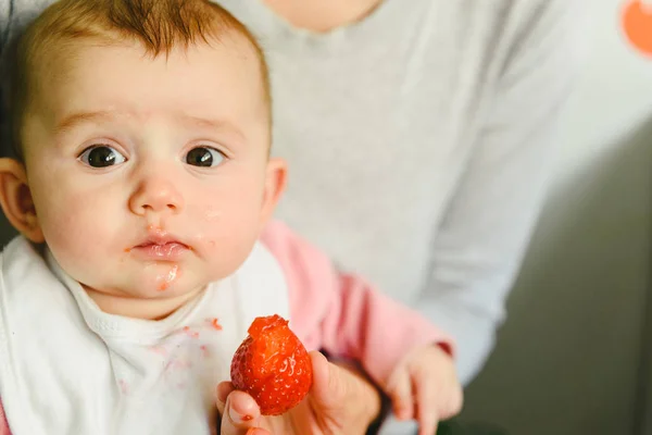 Bebé Empezando Por Degustar Una Fresa Usando Método Destete Llevado — Foto de Stock