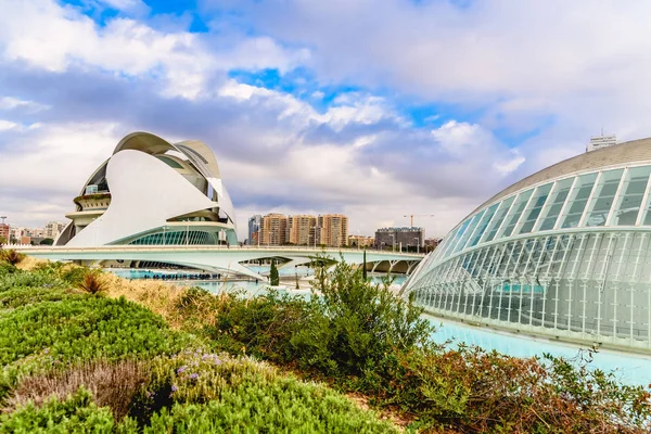 Complesso Della Città Delle Arti Delle Scienze Valencia Spagna Uno — Foto Stock