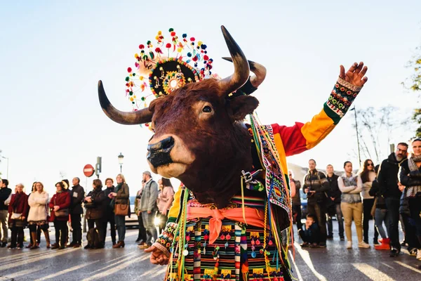Valencia España Febrero 2019 Hombre Disfrazado Chamán Con Toro Ceremonial — Foto de Stock