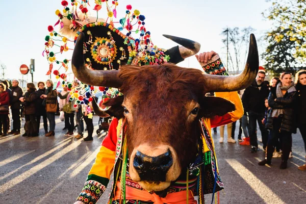 Valencia España Febrero 2019 Hombre Disfrazado Chamán Con Toro Ceremonial — Foto de Stock