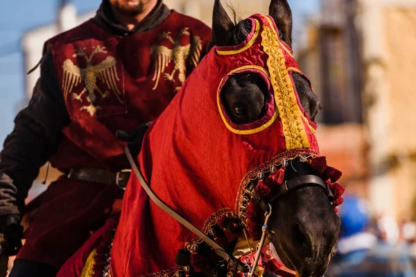 Detalle Armadura Caballero Montado Caballo Durante Una Exhibición Festival Medieval — Foto de Stock