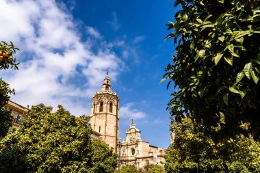 Valencia, İspanya - 24 Şubat 2019: Plaza de la Reina a sunny s