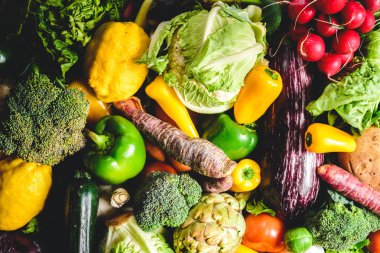 Taze sebze bir sebze bahçesinde toplandı.