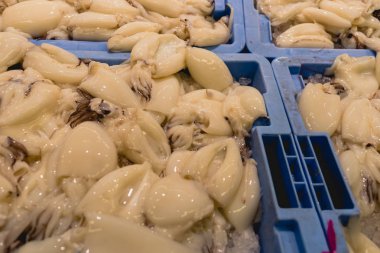 Mürekkep balığı balık balık satıcısı olmaktan bir kutuda.