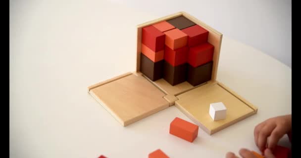 Dětská Ruka Škole Umísťování Kousků Montessoriového Materiálu Geometrického — Stock video