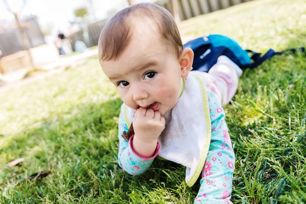 Baby lying face down on the grass, raising her head.