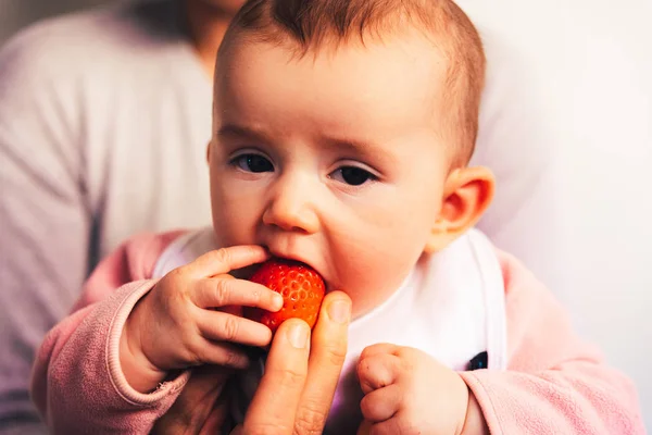 Baby of 4 months starting to try their first foods using the tec — Stock Photo, Image