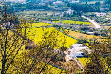 İtalya'nın Locorotondo şehrinin vadisinin panoramik manzarası,