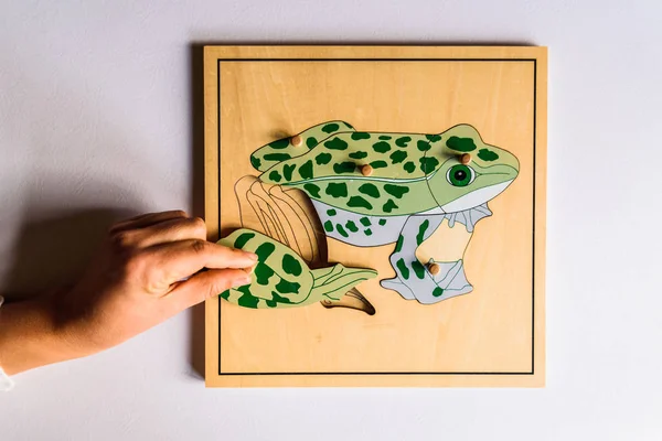 Dziecko Ręce Uczenia Się Dopasować Kawałki Zwierzęciu Puzzle Drewniane — Zdjęcie stockowe