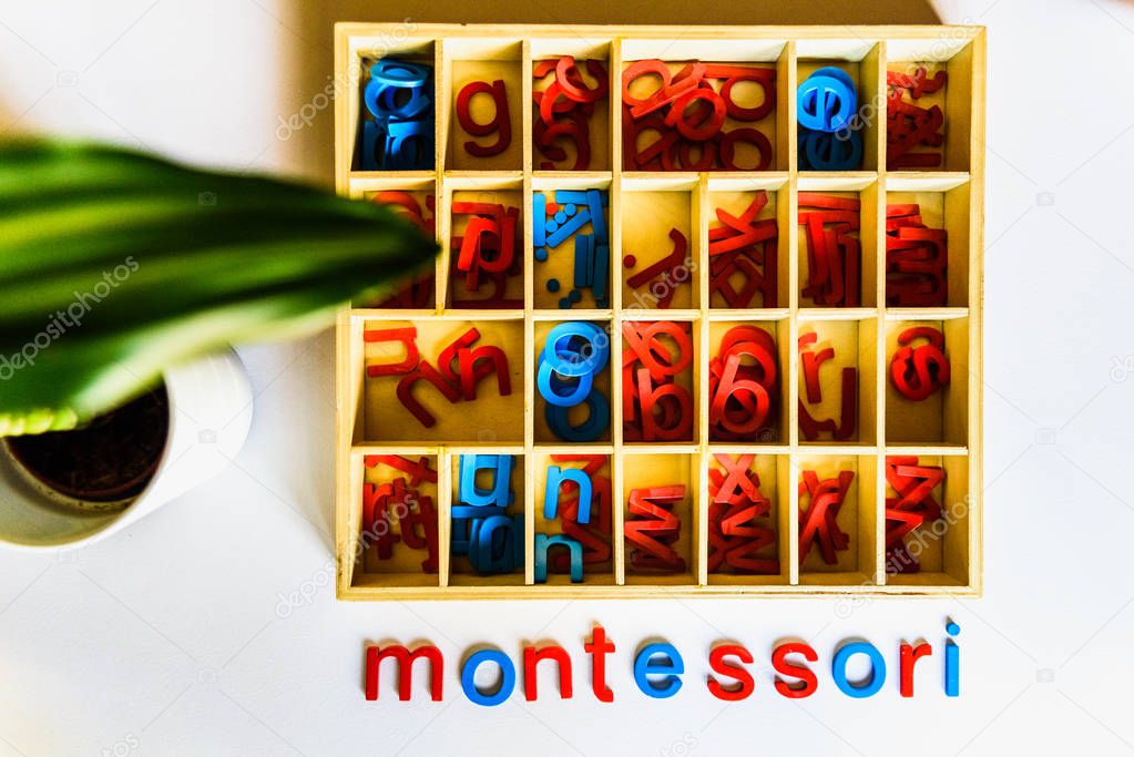 Montessori method is an educational model, word written with woo