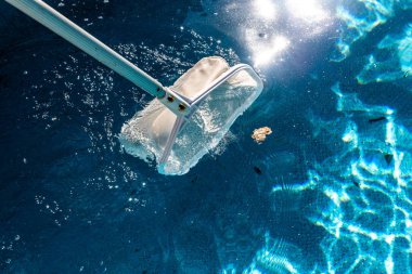 Yaz aylarında havuz Net yaprak Skimmer komisyon.