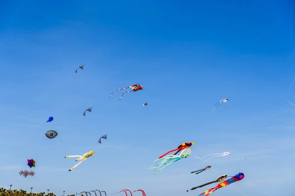 Grupo de pipas com formas de animais voando durante um verão fes — Fotografia de Stock