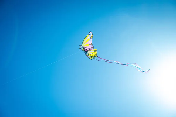 Papagaio colorido com cauda longa voando no céu azul contra o — Fotografia de Stock