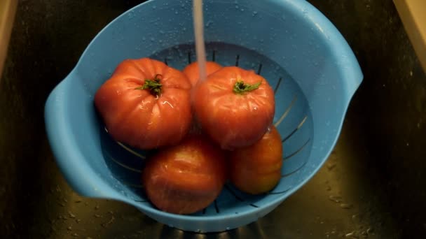 成熟的红色西红柿在人手中的水槽中洗过水流 — 图库视频影像