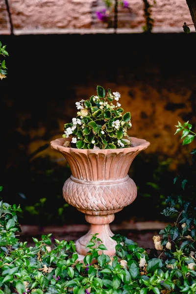 Starożytny rzeźbione kamienny wazon w europejskim ogrodzie z kwiatami. — Zdjęcie stockowe
