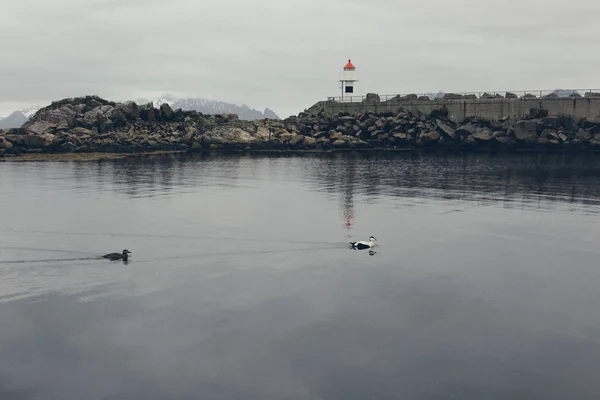 大西洋ノースSの野生と遠隔海域の灯台 — ストック写真